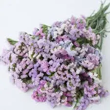 Статица Pastel Shades